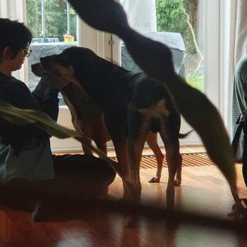 Sammy cuddling Shadow & Brasa
