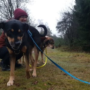 Sammy with Shadow & Brasa