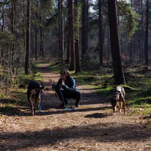 Sammy walking Shadow & Brasa