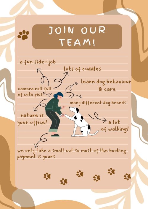 Join our team!
